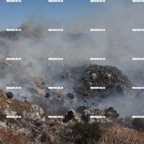 ΦΩΤΙΑ ΣΤΟ ΚΟΥΡΤΑΛΙΩΤΙΚΟ ΦΑΡΑΓΓΙ