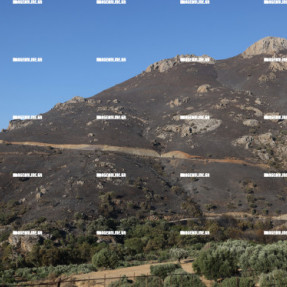 ΠΑΡΑΛΙΑ ΠΡΕΒΕΛΗ