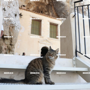 ΔΕΚΑΠΕΝΤΑΥΓΟΥΣΤΟΣ ΜΟΝΗ ΦΑΝΕΡΩΜΕΝΗΣ ΙΕΡΑΠΕΤΡΑΣ