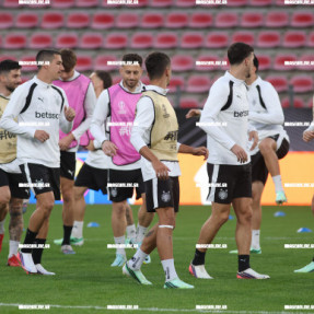 ΠΡΟΠΟΝΗΣΗ ΟΦΗ ΣΤΟ ΓΗΠΕΔΟ ΤΗΣ ΡΕΝ