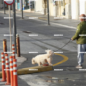 ΠΡΩΤΗ ΜΕΡΑ ΑΠΑΓΟΡΕΥΣΗ ΚΥΚΛΟΦΟΡΙΑΣ ΛΟΓΩ ΚΟΡΩΝΟΙΟΥ