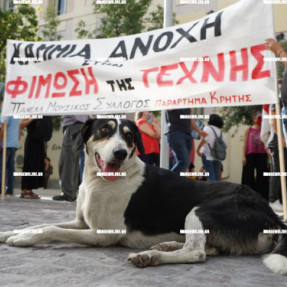 ΑΝΤΙΦΑΣΙΣΤΙΚΗ ΔΙΑΜΑΡΤΥΡΙΑ ΓΙΑ ΤΗΝ ΑΠΟΦΑΣΗ ΤΗΣ ΔΙΚΗΣ ΓΙΑ ΤΗΝ ΧΡΥΣΗ ΑΥΓΗ