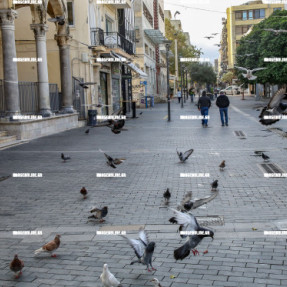 LOCKDOWN ΚΑΡΑΝΤΙΝΑ