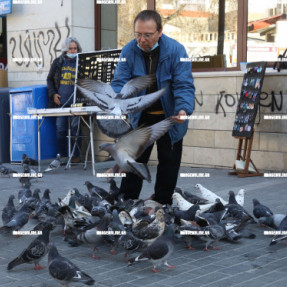 ΤΑΙΖΟΝΤΑΣ ΤΑ ΠΕΡΙΣΤΕΡΙΑ