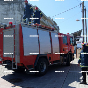 ΔΙΑΣΩΣΗ ΕΓΚΛΩΒΙΣΜΕΝΟΥ ΠΟΥΛΙΟΥ ΑΠΟ ΤΗΝ ΠΥΡΟΣΒΕΣΤΙΚΗ ΣΤΗΝ ΠΑΡΑΛΙΑΚΗ