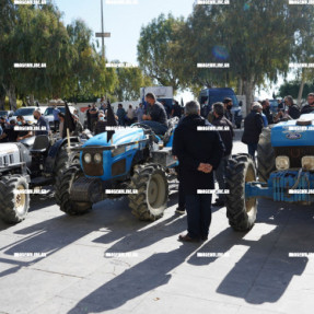 ΔΙΑΜΑΡΤΥΡΙΑ ΤΩΝ ΠΑΡΑΓΩΓΩΝ ΤΩΝ ΛΑΙΚΩΝ ΑΓΟΡΩΝ