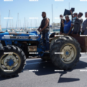 ΔΙΑΜΑΡΤΥΡΙΑ ΤΩΝ ΠΑΡΑΓΩΓΩΝ ΤΩΝ ΛΑΙΚΩΝ ΑΓΟΡΩΝ