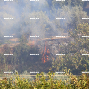 ΦΩΤΙΑ ΚΟΝΤΑ ΣΤΟΝ ΟΙΚΙΣΜΟ ΓΟΥΡΝΩΝ ΤΕΜΕΝΟΥ