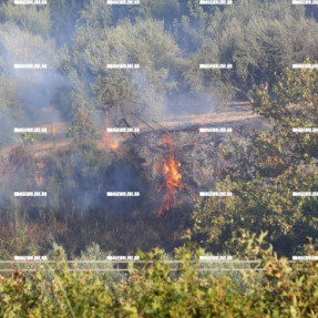 ΦΩΤΙΑ ΚΟΝΤΑ ΣΤΟΝ ΟΙΚΙΣΜΟ ΓΟΥΡΝΩΝ ΤΕΜΕΝΟΥ