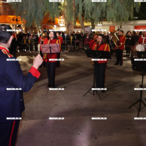 ΦΩΤΑΓΩΓΗΣΗ ΧΡΙΣΤΟΥΓΕΝΝΙΑΤΙΚΟΥ ΔΕΝΤΡΟΥ ΣΤΗΝ ΠΛΑΤΕΙΑ