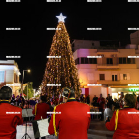 ΦΩΤΑΓΩΓΗΣΗ ΧΡΙΣΤΟΥΓΕΝΝΙΑΤΙΚΟΥ ΔΕΝΤΡΟΥ ΣΤΗΝ ΠΛΑΤΕΙΑ