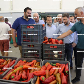 Ο ΝΙΚΟΣ ΑΝΔΡΟΥΛΑΚΗΣ ΣΤΟ ΤΥΜΠΑΚΙ