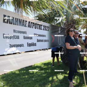 ΔΙΑΜΑΡΤΥΡΙΑ ΑΓΡΟΤΩΝ ΣΤΟ ΑΕΡΟΔΡΟΜΙΟ ΓΙΑ ΤΟ ΚΟΣΤΟΣ ΠΑΡΑΓΩΓΗΣ ΚΑΙ ΤΑ ΕΡΓΑΤΙΚΑ ΧΕΡΙΑ