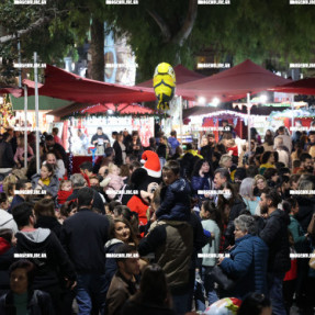 ΦΩΤΑΓΩΓΗΣΗ ΧΡΙΣΤΟΥΓΕΝΝΙΑΤΙΚΟΥ ΔΕΝΤΡΟΥ