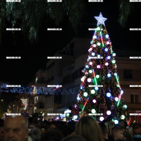 ΦΩΤΑΓΩΓΗΣΗ ΧΡΙΣΤΟΥΓΕΝΝΙΑΤΙΚΟΥ ΔΕΝΤΡΟΥ