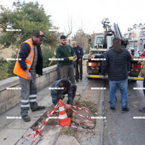 ΠΤΩΣΗ ΔΕΝΤΡΟΥ ΣΤΗΝ ΙΚΑΡΟΥ