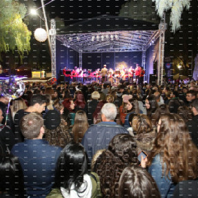 ΦΩΤΑΓΩΓΗΣΗ ΤΟΥ ΧΡΙΣΤΟΥΓΕΝΝΙΑΤΙΚΟΥ ΔΕΝΤΡΟΥ