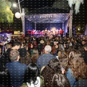 ΦΩΤΑΓΩΓΗΣΗ ΤΟΥ ΧΡΙΣΤΟΥΓΕΝΝΙΑΤΙΚΟΥ ΔΕΝΤΡΟΥ