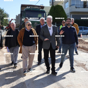 ΕΠΊΣΚΕΨΗ ΚΑΛΟΚΑΙΡΙΝΟΥ ΣΕ ΕΡΓΑ ΣΤΗΝ ΠΑΥΛΟΥ  ΜΕΛΑ